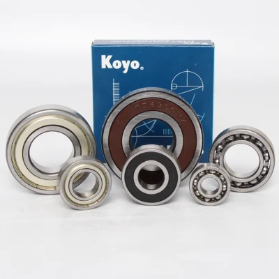 Timken NTN NSK High Temperatures Deep Groove Ball Bearings with Extended Inner Ring Single Row Stainless Steel Bearings Seal on Both Sides with Snap Ring